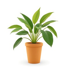 Fototapeta premium Potted green plant with large leaves on a white background