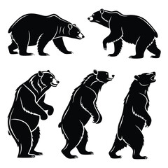 Panda for vector illustration based