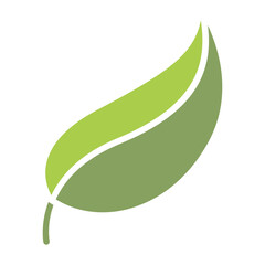 Leaf icon in flat color style