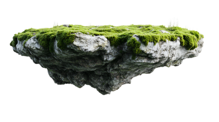 green moss on white background
