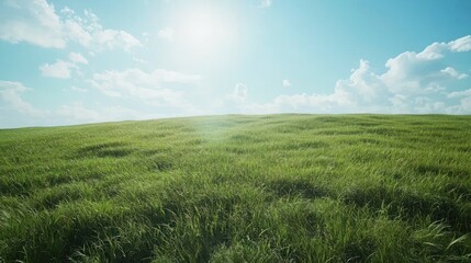 Fototapeta premium A vast, green grassy field under a bright blue sky, gently swaying in the wind