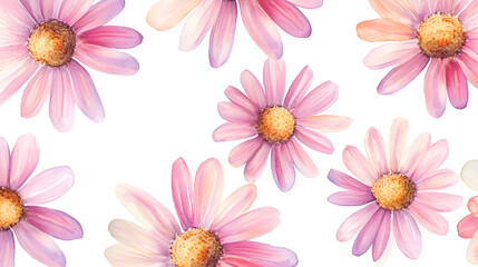 Watercolor pink daisy flowers pattern