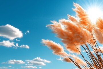 Sunlight illuminates tall grasses swaying gently in gentle breeze under vibrant blue sky, conveying warmth and tranquility of mild weather. Concept embraces gentle breeze, fostering serenity.
