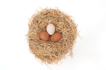 Organic eggs in a straw nest isolated on white background