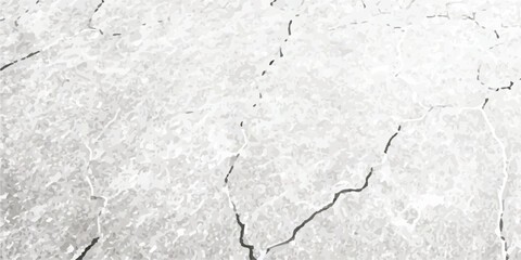 Vector Textures of Cracked Ground, Wall, and Floor Surfaces from Earthquake Damage in Black, White, and Grey, Capturing Realistic Fractures and Surface Breaks for Use in Design Projects.
