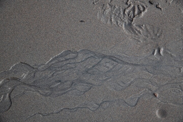 traces on sand
