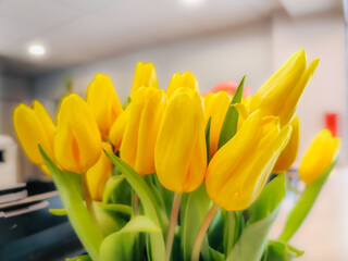 Naklejka premium A vibrant bouquet of fresh yellow tulips with lush green leaves, beautifully arranged indoors. The soft focus and warm lighting enhance the delicate petals, evoking feelings of joy and springtime.