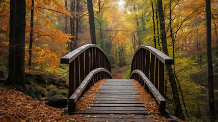 wooden bridge in autumn forest