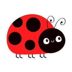 Fototapeta premium Lady bug, lady bird icon. Cute kawaii cartoon funny baby character. Red and black insect. Happy Valentines Day Card Sticker print. Childish style. Flat design. White background. Isolated Vector