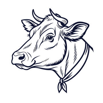 recommend clip art: cow head line art on white background