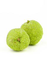 Maclura Orange exotic fruit on white background