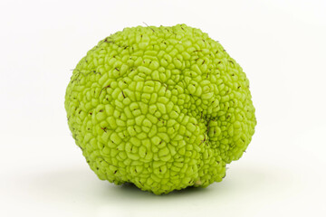 Maclura Orange exotic fruit on white background