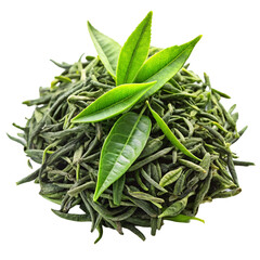 Fototapeta premium fresh sage leaves