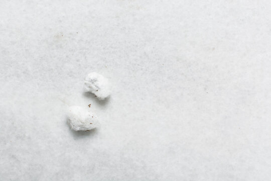Overhead view of organic cotton seed with lint on a white background, process of delinting cotton seeds 