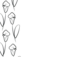 poster template with calla lily flower icons from stems in line art style drawn with original outline, for logos, designs or ornaments