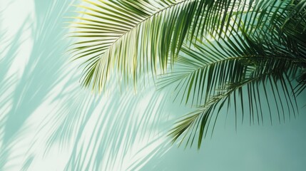 Lush green palm fronds cast intricate shadows against a soft mint backdrop.
