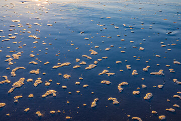 Sea foam on a beach on Outer Banks.CR3
