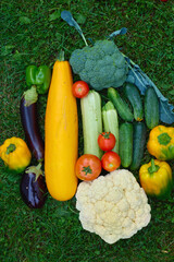 Fresh vegetables arranged on green grass showcasing colorful produce from a garden harvest during summer