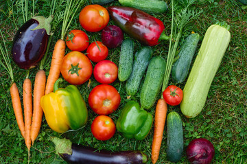 Freshly harvested vegetables arranged on green grass, showcasing a vibrant array of colors and types