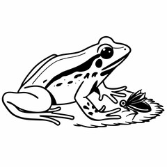 frog vector illustration