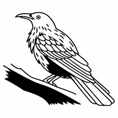 vector illustration of a bird