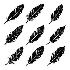 Collection of detailed feather illustrations in various angles silhouette isolated on white background