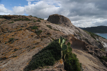 La costa di Punta Argentina e la sua torre costiera