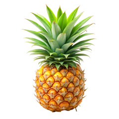 pineapple on white background