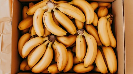Fresh Bananas in Cardboard Box
