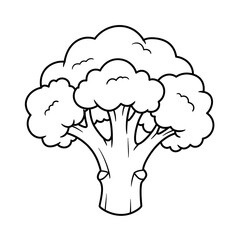 cauliflower sketch 