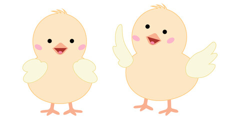 Set of easter characters chicks. Cute animals yellow color. Spring vector illustration isolated on white background