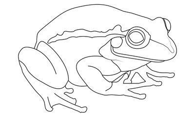  frog outline vector illustration black and white