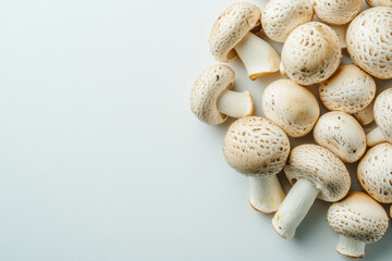 Natural Mushrooms for a Healthy Lifestyle