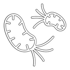 Virus, bacteria icon in line style