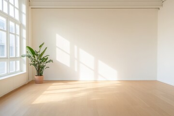 Bright room interior with plant and sunlight.