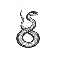 Fototapeta premium Elegant Snake Line Art | Minimalist Reptile PNG