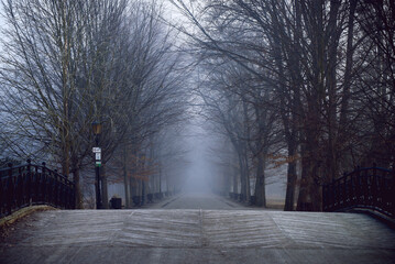 Park zamkowy w Pszczynie, luty 2025.