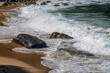surf on the rocky beach