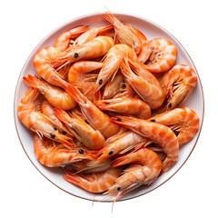 shrimps on a white background