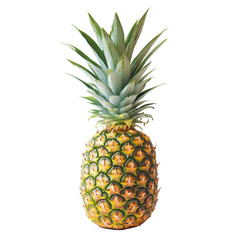 Fototapeta premium Fresh pineapple with vibrant green leaves on clean Transparent background showcasing tropical freshness, pineapple on PNG background
