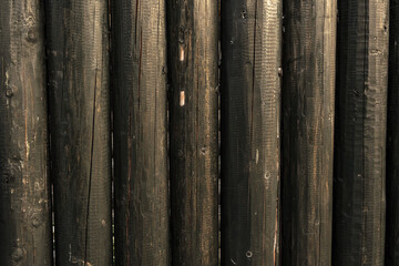 Fragment of a wooden fence.