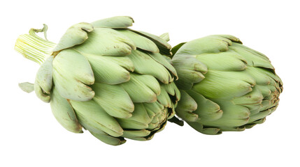 Obraz premium Isolated artichoke vegetable close-up studio photography minimalist vegetarian concept