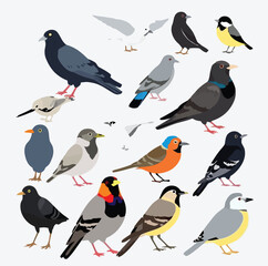 Obraz premium City Birds of Europe: A Trendy Vector Collection