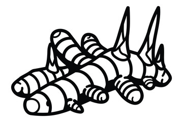 Line art Turmeric silhouette vector design, white background.