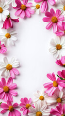 Fototapeta premium A top view of wild pink and white flowers, chaotically arranged around empty space for text, framed by nature beauty with a clean white background, offering a fresh, minimal feel