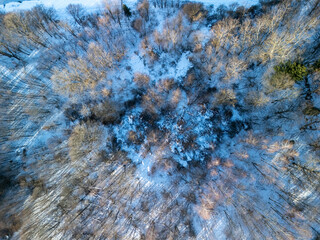 Aerial view of a snow-covered forest showcasing trees with bare branches. The serene winter landscape evokes tranquility and peace.