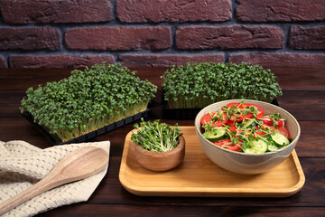 A healthy vegetable salad with sliced cucumbers, tomatoes, and red bell peppers, garnished with fresh mustard (Brassica juncea) and radish (Raphanus sativus) microgreens in a ceramic bowl