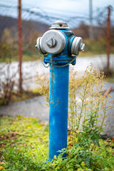 Blue fire hydrant surrounded by overgrown grass in an urban area