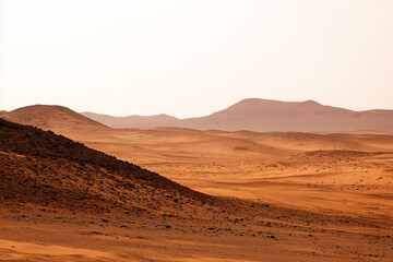 Naklejka premium Desert's Golden Embrace: The vast expanse of a desert landscape unfolds under a pale, expansive sky, where rolling hills and arid terrain evoke a sense of timeless beauty.