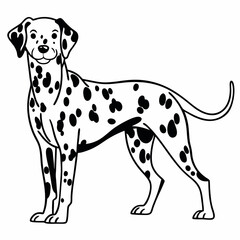 dalmatian dog line art icon, isolated vector illustration, drawing